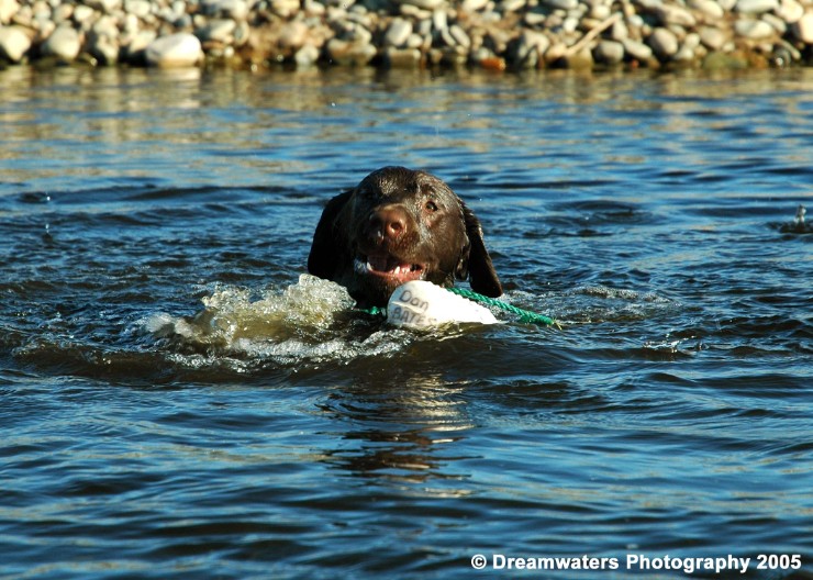 Beau Adverstising.jpg